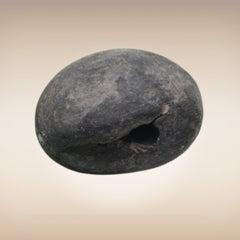 Shri Laxmi Narayan Shaligram - SH008