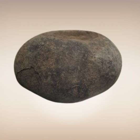 Shri Laxmi Narayan Shaligram - SH011