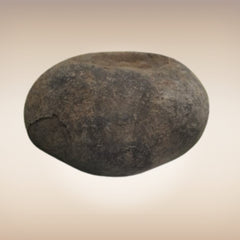 Shri Laxmi Narayan Shaligram - SH011