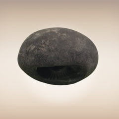 Shri Laxmi Narayan Shaligram - SH012
