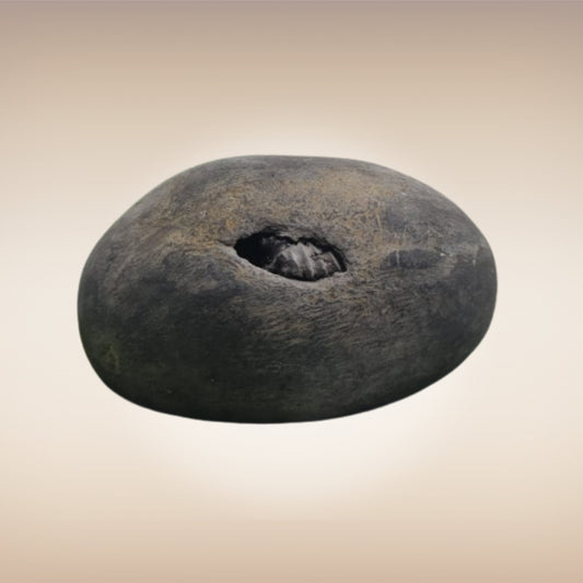 Shri Laxmi Narayan Shaligram - SH017