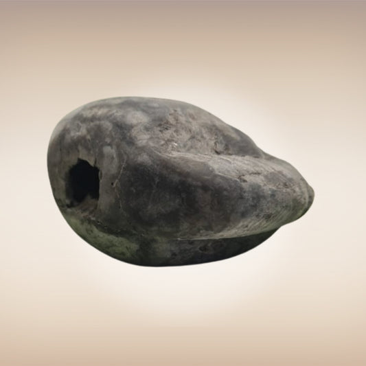 Shri Laxmi Narayan Shaligram - SH018