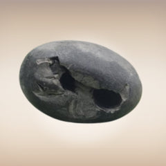 Shri Laxmi Narayan Shaligram - SH020