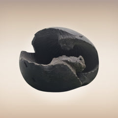 Shri Laxmi Narayan Shaligram - SH021