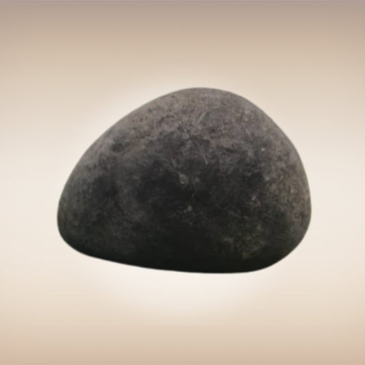 Shri Laxmi Narayan Shaligram - SH023