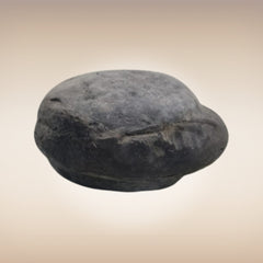 Shri Laxmi Narayan Shaligram - SH025