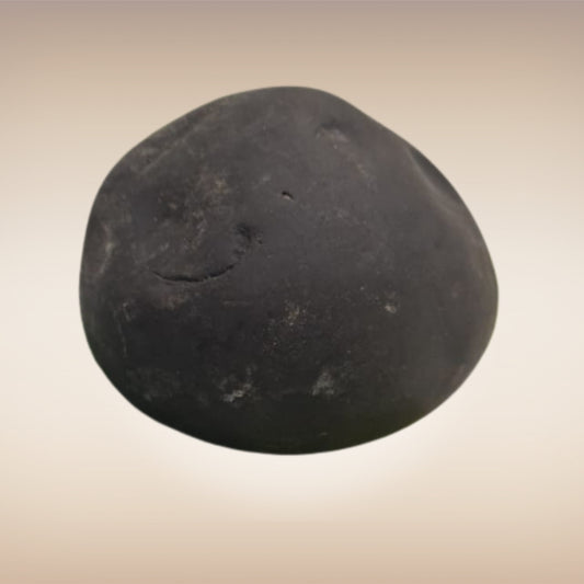 Shri Laxmi Narayan Shaligram - SH026