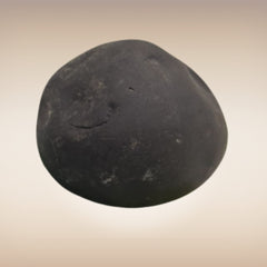 Shri Laxmi Narayan Shaligram - SH026