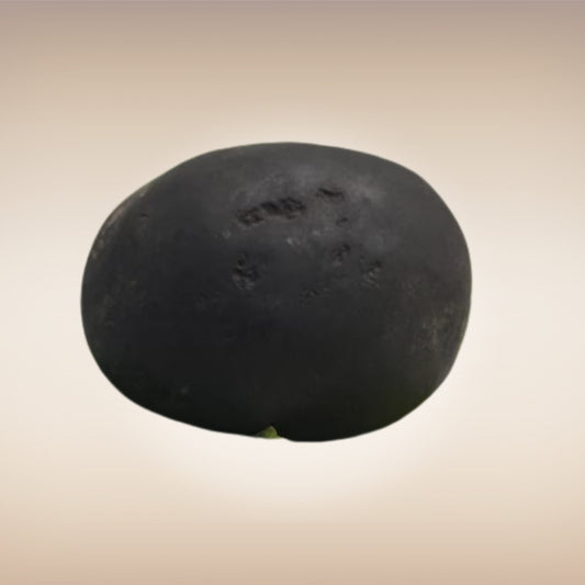 Shri Laxmi Narayan Shaligram - SH028