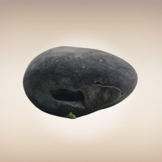 Shri Laxmi Narayan Shaligram - SH029