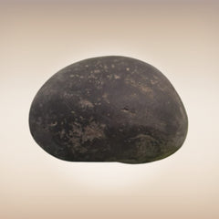 Shri Laxmi Narayan Shaligram - SH031