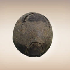 Shri Laxmi Narayan Shaligram - SH034