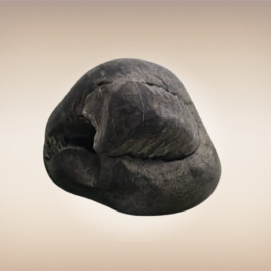 Shri Laxmi Narayan Shaligram - SH035