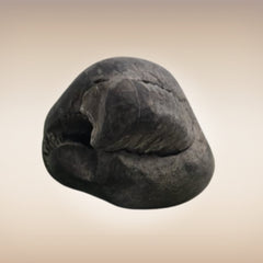 Shri Laxmi Narayan Shaligram - SH035