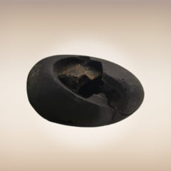 Shri Laxmi Narayan Shaligram - SH038