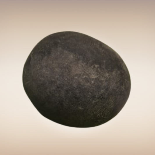 Shri Laxmi Narayan Shaligram - SH039
