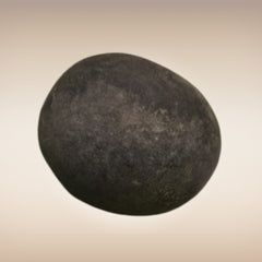 Shri Laxmi Narayan Shaligram - SH039