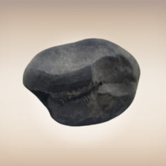 Shri Laxmi Narayan Shaligram - SH040