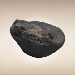 Shri Laxmi Narayan Shaligram - SH041