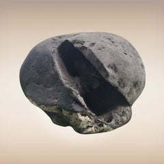 Shri Laxmi Narayan Shaligram - SH043