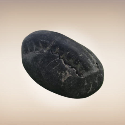 Shri Laxmi Narayan Shaligram - SH044