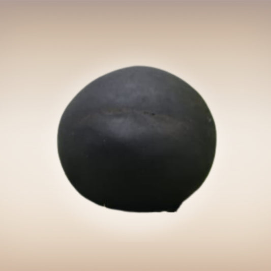 Shri Laxmi Narayan Shaligram - SH045