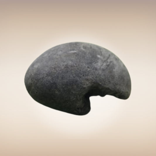 Shri Laxmi Narayan Shaligram - SH046
