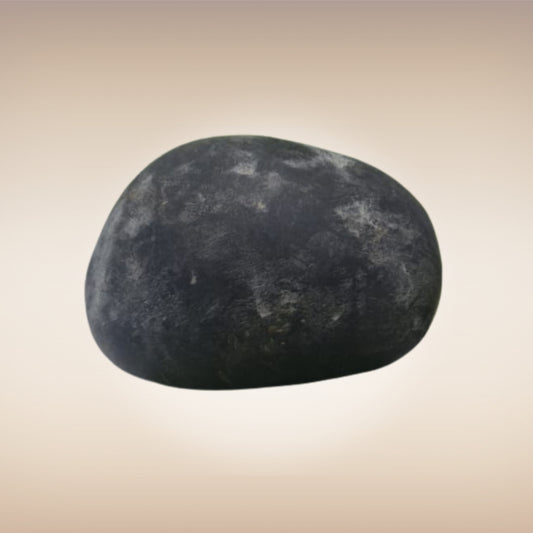 Shri Laxmi Narayan Shaligram - SH048
