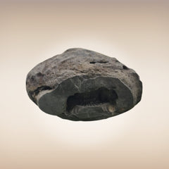 Shri Laxmi Narayan Shaligram - SH049
