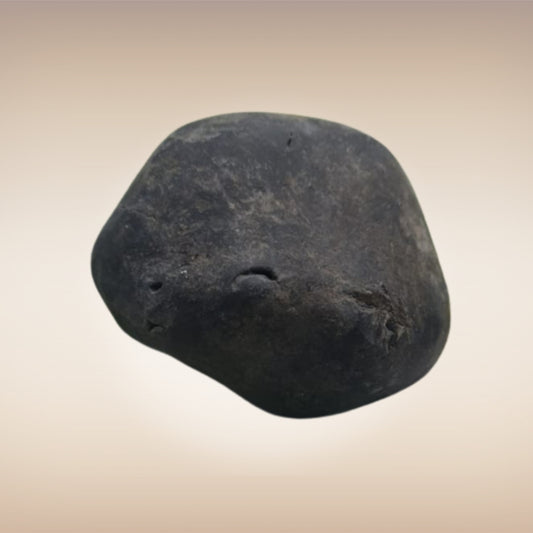 Shri Laxmi Narayan Shaligram - SH050