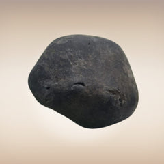 Shri Laxmi Narayan Shaligram - SH050