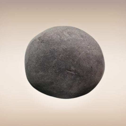 Shri Laxmi Narayan Shaligram - SH052
