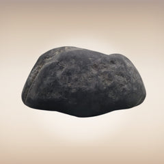 Shri Laxmi Narayan Shaligram - SH053