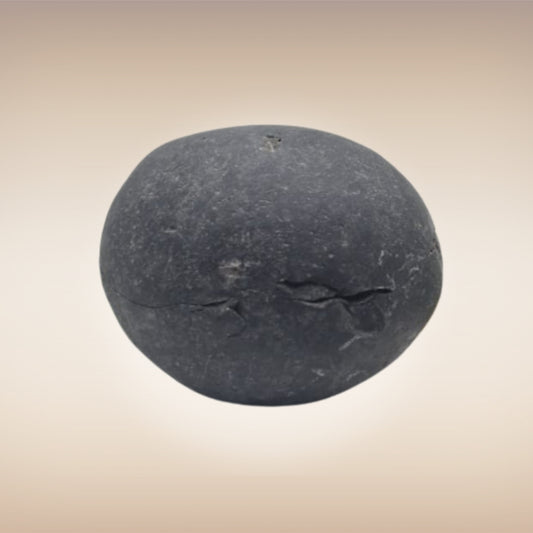 Shri Laxmi Narayan Shaligram - SH058