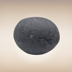 Shri Laxmi Narayan Shaligram - SH058