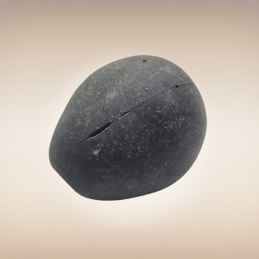 Shri Laxmi Narayan Shaligram - SH059