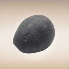 Shri Laxmi Narayan Shaligram - SH059