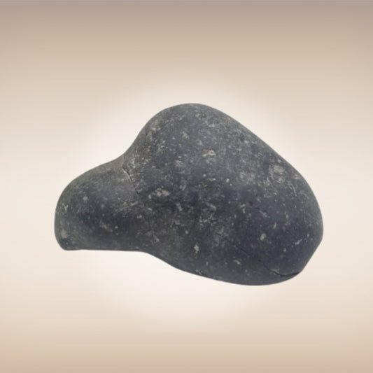 Shri Laxmi Narayan Shaligram - SH060