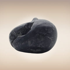Shri Laxmi Narayan Shaligram - SH063