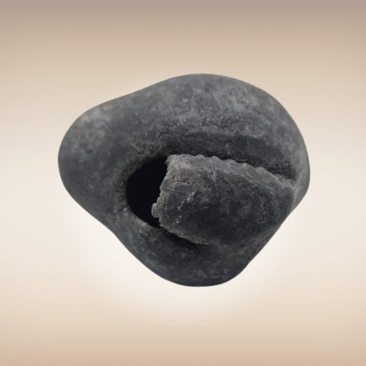Shri Laxmi Narayan Shaligram - SH065