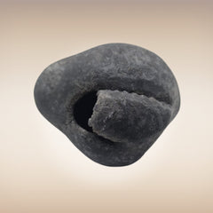 Shri Laxmi Narayan Shaligram - SH065