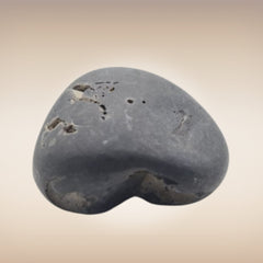 Shri Laxmi Narayan Shaligram - SH069