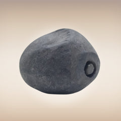 Shri Laxmi Narayan Shaligram - SH070