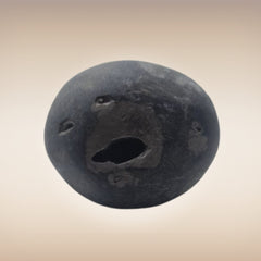 Shri Laxmi Narayan Shaligram - SH071