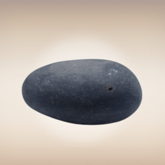 Shri Laxmi Narayan Shaligram - SH073