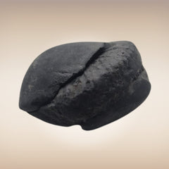 Shri Laxmi Narayan Shaligram - SH075
