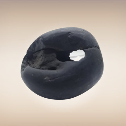 Shri Laxmi Narayan Shaligram - SH077