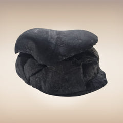Shri Laxmi Narayan Shaligram - SH078