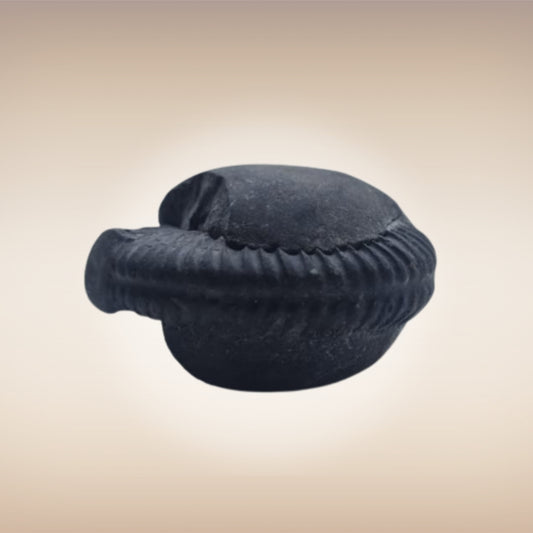 Shri Laxmi Narayan Shaligram - SH079