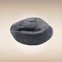 Shri Laxmi Narayan Shaligram - SH081